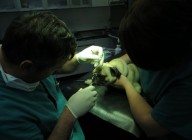 Kirurgija oftalmologija