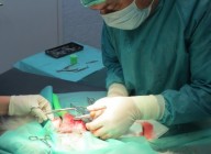Kirurgija ortopedija
